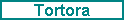 Tortora